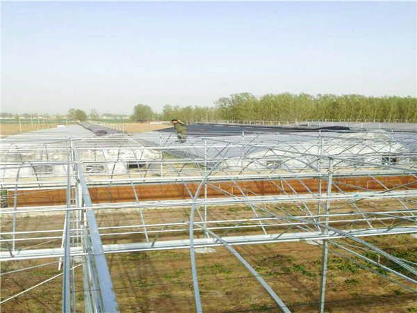 購買大棚骨架需要注意什么？